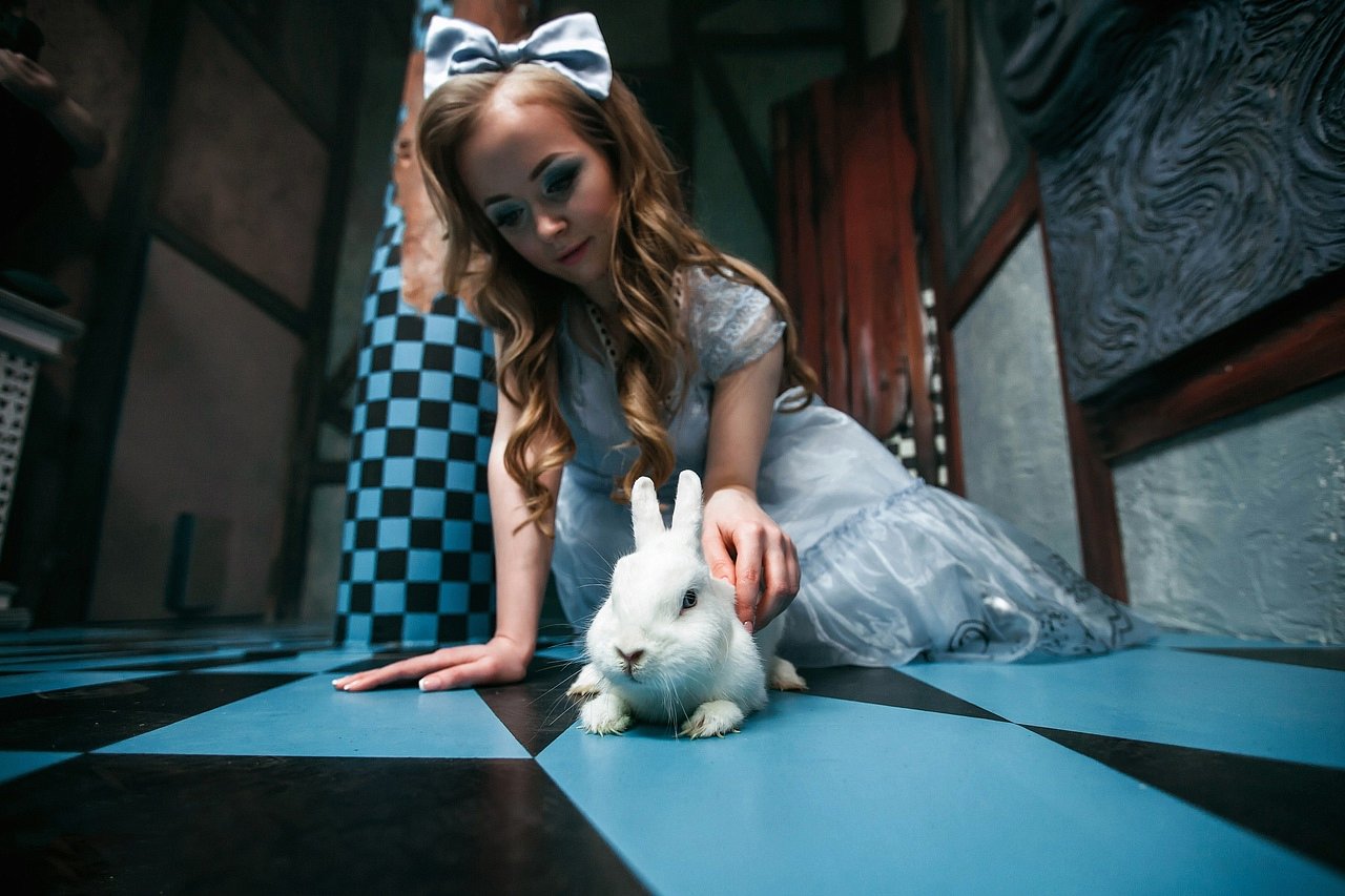 Фото квеста Алиса в Стране Чудес